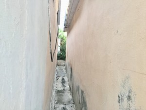 IMG_E0807