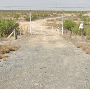 WhatsApp Image 2023-05-19 at 10.36.07 AM